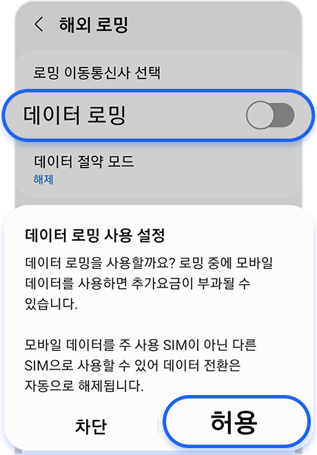 데이터 로밍 허용