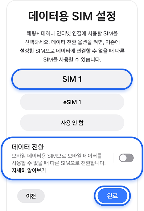 데이터 SIM