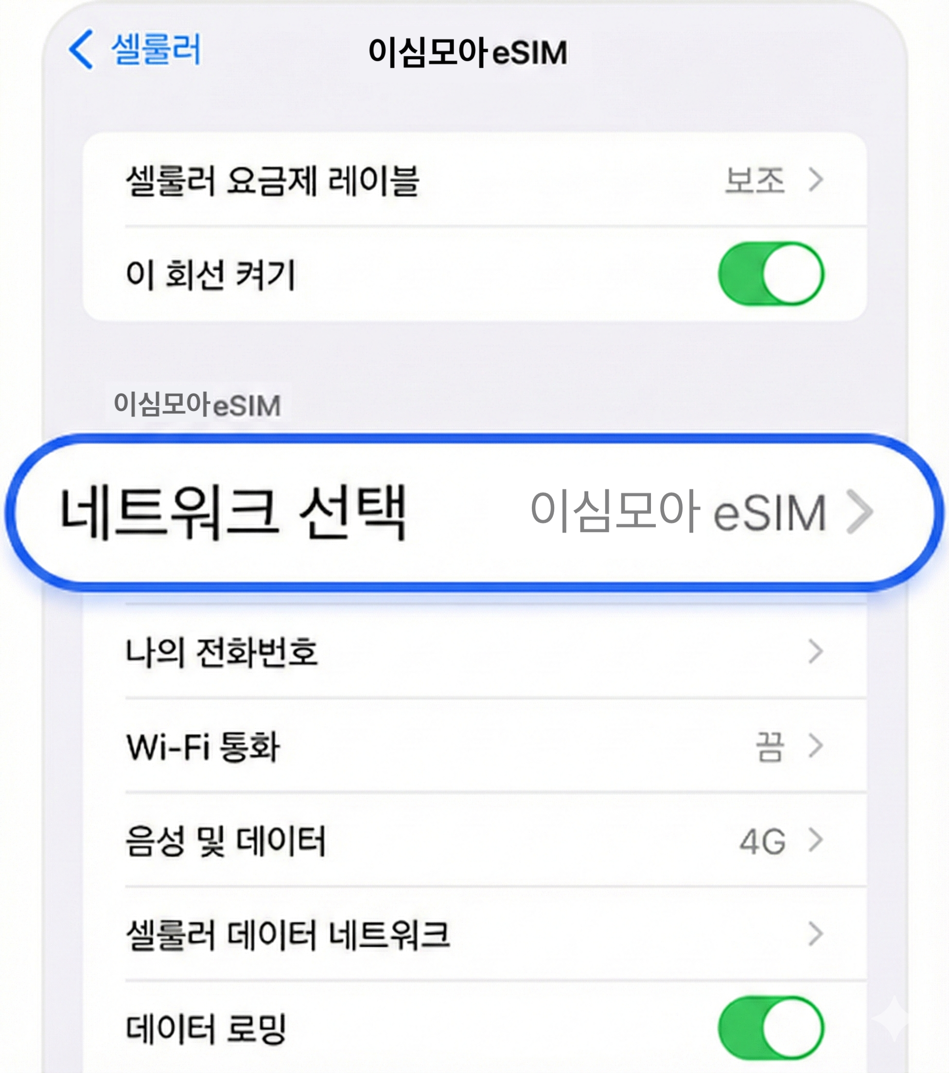수동 네트워크