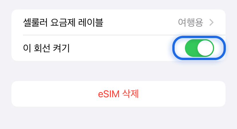 eSIM 켜기