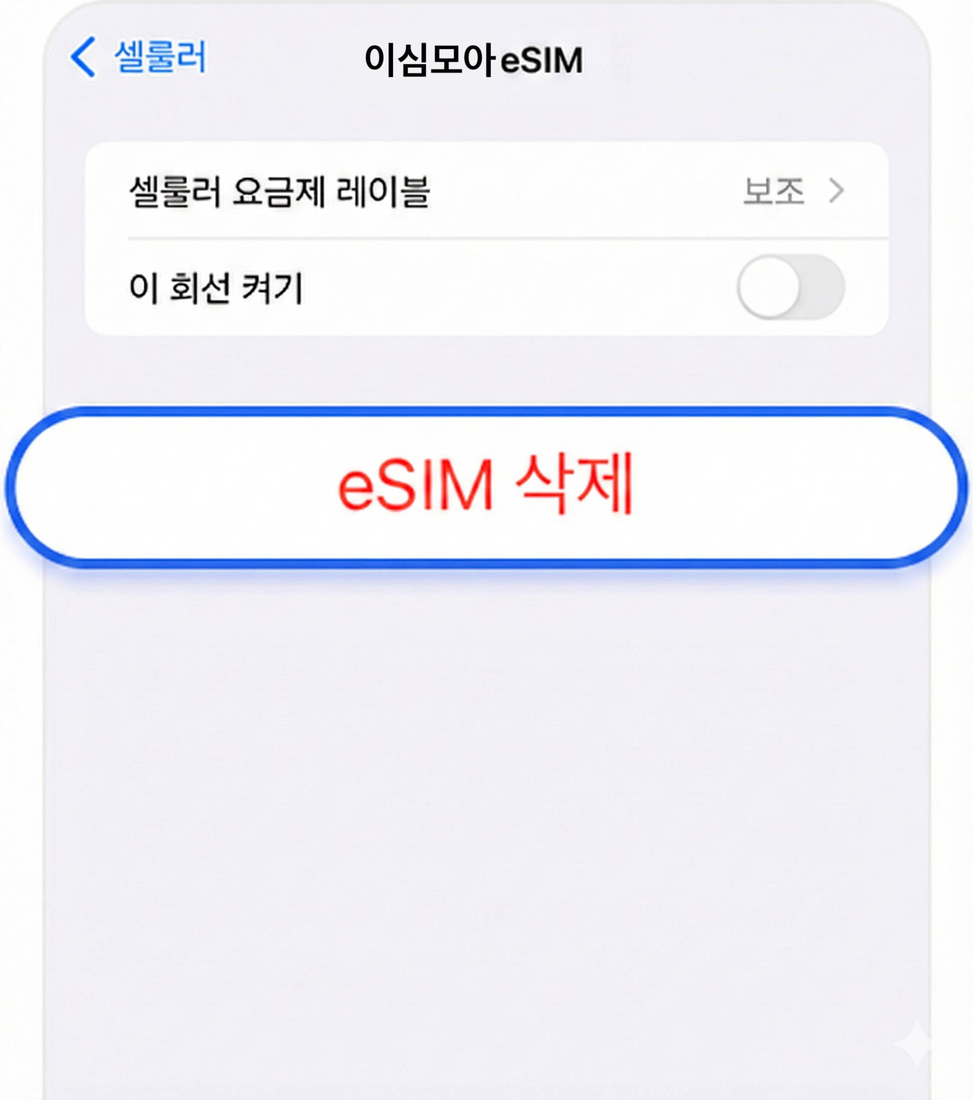 eSIM 삭제