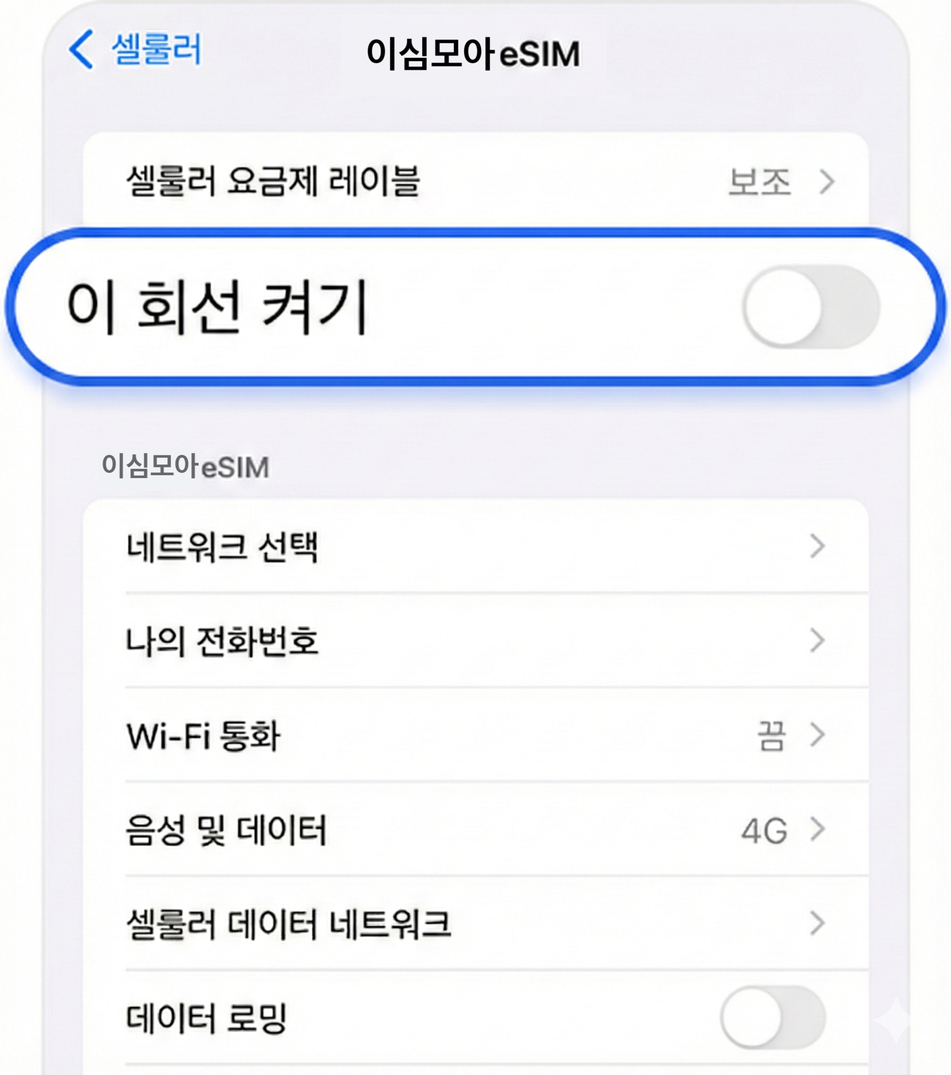 eSIM 끄기