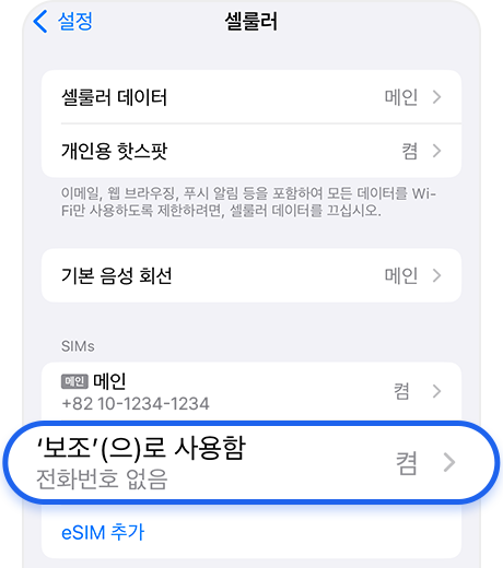 eSIM 회선 선택