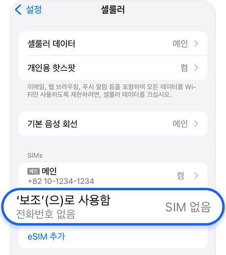 eSIM 없음